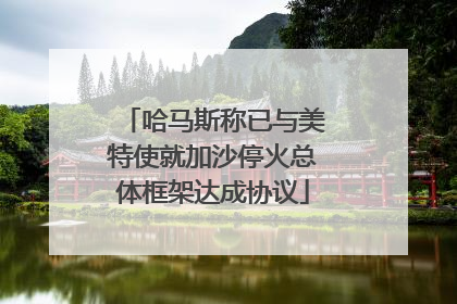 哈马斯称已与美特使就加沙停火总体框架达成协议