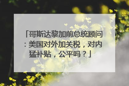 哥斯达黎加前总统顾问：美国对外加关税，对内猛补贴，公平吗？