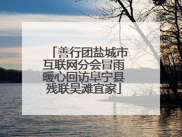 善行团盐城市互联网分会冒雨暖心回访阜宁县残联吴滩宜家