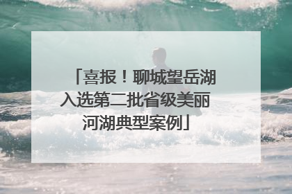 喜报！聊城望岳湖入选第二批省级美丽河湖典型案例