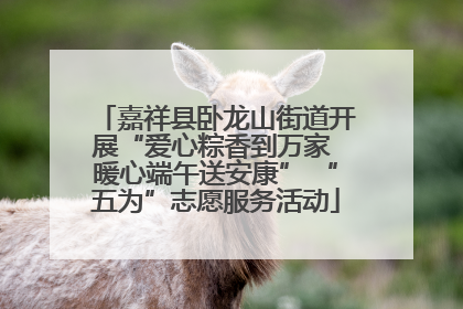 嘉祥县卧龙山街道开展“爱心粽香到万家 暖心端午送安康” “五为”志愿服务活动