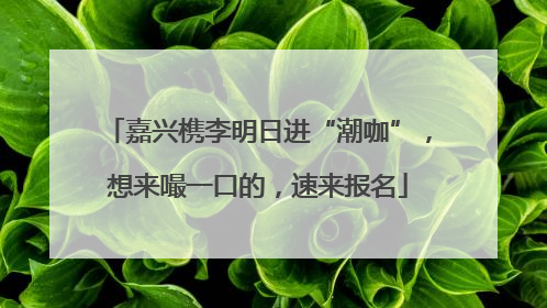 嘉兴槜李明日进“潮咖”，想来嘬一口的，速来报名
