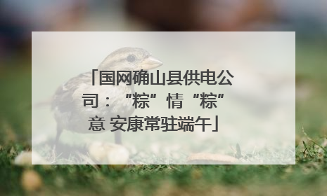 国网确山县供电公司：“粽”情“粽”意 安康常驻端午