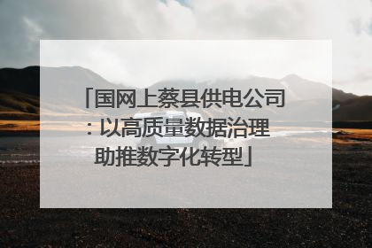 国网上蔡县供电公司：以高质量数据治理 助推数字化转型
