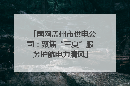 国网孟州市供电公司：聚焦“三夏”服务护航电力清风
