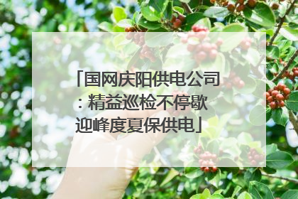 国网庆阳供电公司：精益巡检不停歇 迎峰度夏保供电