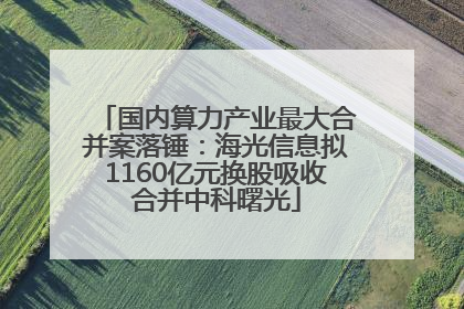 国内算力产业最大合并案落锤：海光信息拟1160亿元换股吸收合并中科曙光