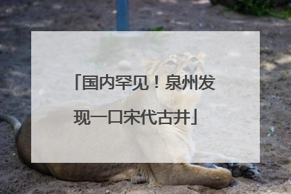 国内罕见！泉州发现一口宋代古井