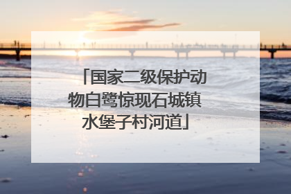 国家二级保护动物白鹭惊现石城镇水堡子村河道