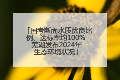 国考断面水质优良比例、达标率均100% 芜湖发布2024年生态环境状况