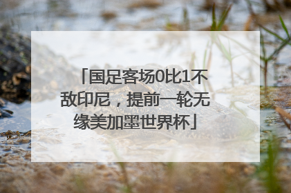 国足客场0比1不敌印尼，提前一轮无缘美加墨世界杯