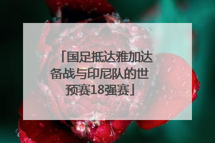 国足抵达雅加达备战与印尼队的世预赛18强赛