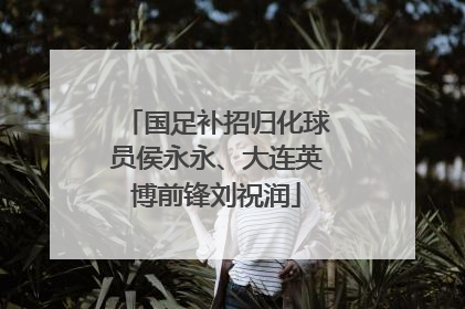国足补招归化球员侯永永、大连英博前锋刘祝润