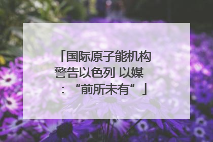 国际原子能机构警告以色列 以媒：“前所未有”