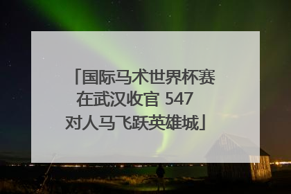 国际马术世界杯赛在武汉收官 547对人马飞跃英雄城