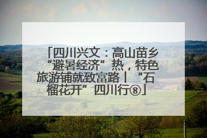四川兴文：高山苗乡“避暑经济”热，特色旅游铺就致富路丨“石榴花开”四川行⑧