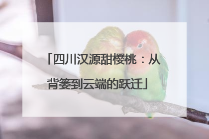 四川汉源甜樱桃：从背篓到云端的跃迁