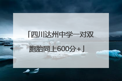 四川达州中学一对双胞胎同上600分+