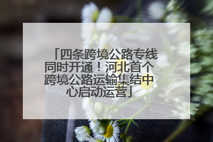 四条跨境公路专线同时开通！河北首个跨境公路运输集结中心启动运营