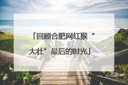 回顾合肥网红猴“大壮”最后的时光