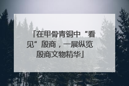 在甲骨青铜中“看见”殷商，一展纵览殷商文物精华