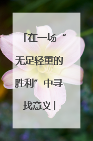 在一场“无足轻重的胜利”中寻找意义