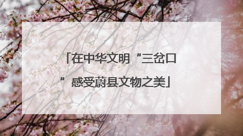 在中华文明“三岔口”感受蔚县文物之美