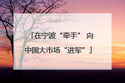 在宁波“牵手” 向中国大市场“进军”