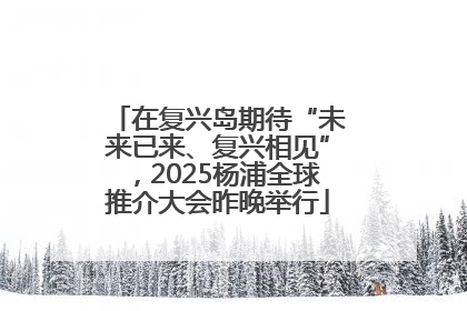 在复兴岛期待“未来已来、复兴相见”，2025杨浦全球推介大会昨晚举行