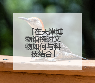 在天津博物馆探讨文物如何与科技结合