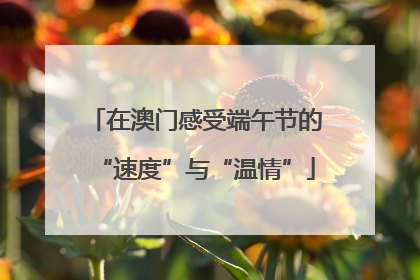 在澳门感受端午节的“速度”与“温情”