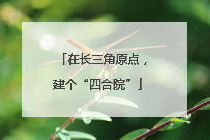 在长三角原点，建个“四合院”