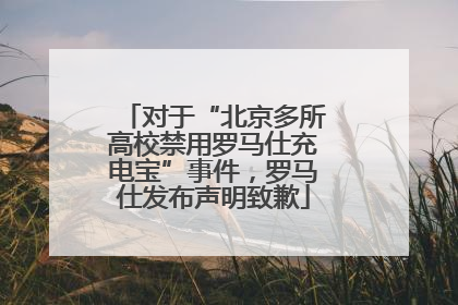 对于“北京多所高校禁用罗马仕充电宝”事件，罗马仕发布声明致歉