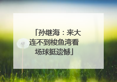 孙继海：来大连不到梭鱼湾看场球挺遗憾