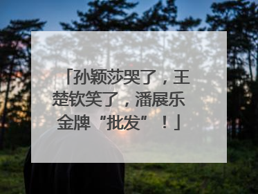 孙颖莎哭了，王楚钦笑了，潘展乐金牌“批发”！