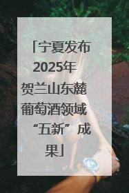 宁夏发布2025年贺兰山东麓葡萄酒领域“五新”成果