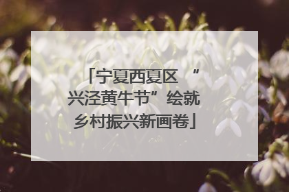 宁夏西夏区 “兴泾黄牛节”绘就乡村振兴新画卷