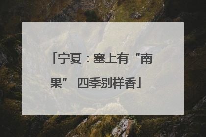 宁夏：塞上有“南果” 四季别样香