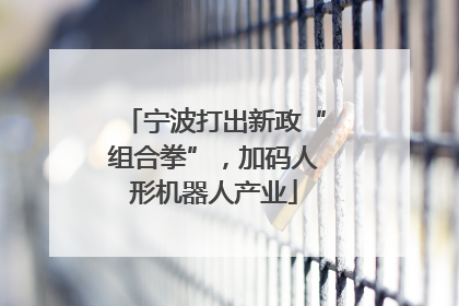 宁波打出新政“组合拳”，加码人形机器人产业