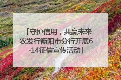 守护信用，共赢未来 农发行衡阳市分行开展6·14征信宣传活动