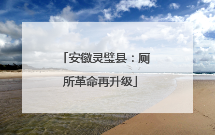 安徽灵璧县：厕所革命再升级