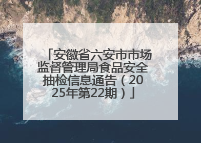 安徽省六安市市场监督管理局食品安全抽检信息通告（2025年第22期）