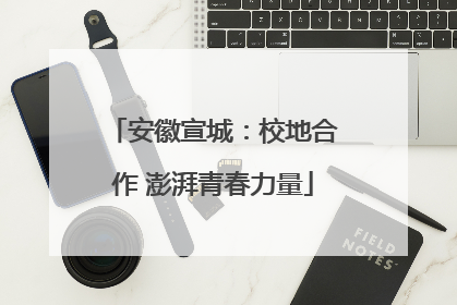 安徽宣城：校地合作 澎湃青春力量