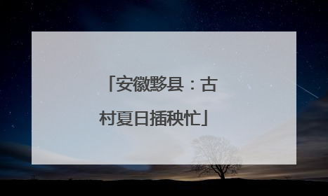 安徽黟县：古村夏日插秧忙