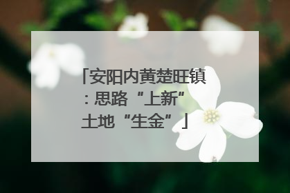 安阳内黄楚旺镇：思路“上新” 土地“生金”