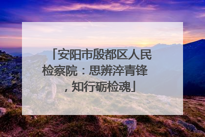 安阳市殷都区人民检察院：思辨淬青锋，知行砺检魂