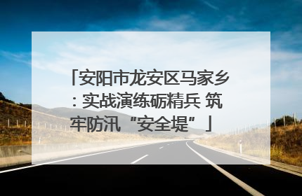 安阳市龙安区马家乡：实战演练砺精兵 筑牢防汛“安全堤”