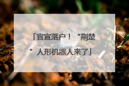 官宣落户！“荆楚”人形机器人来了