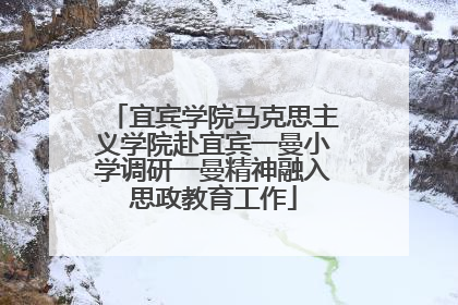 宜宾学院马克思主义学院赴宜宾一曼小学调研一曼精神融入思政教育工作