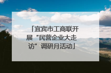 宜宾市工商联开展“民营企业大走访”调研月活动